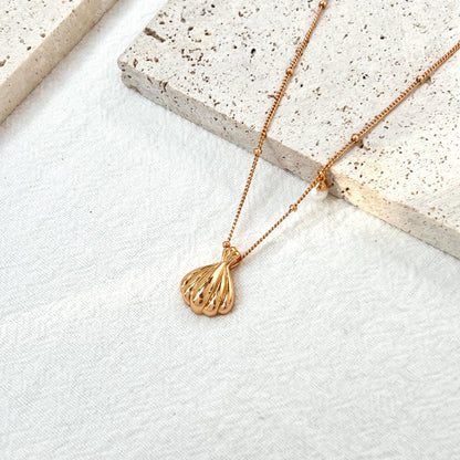 18K Gold Shell Freshwater Pearl Charm Necklace,Minimalist Shell Jewelry,Dainty Wedding Bridal Necklace,Bridesmaid Gift,Birthday Gift For Her